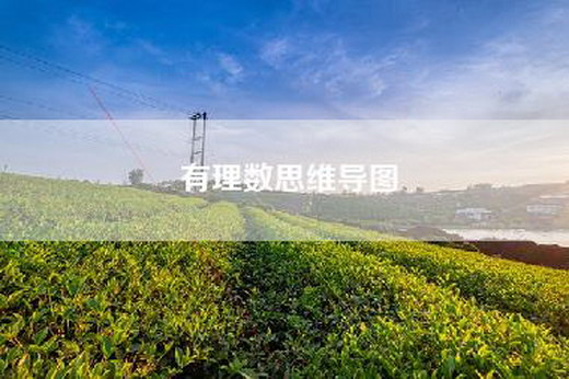 有理数思维导图