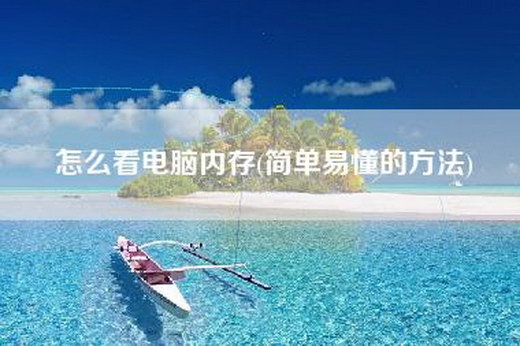 怎么看电脑内存(简单易懂的方法)