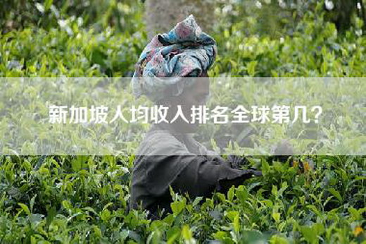 新加坡人均收入排名全球第几？