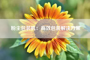 粉尘包装机：高效包装解决方案