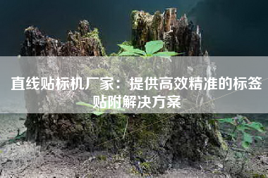 直线贴标机厂家：提供高效精准的标签贴附解决方案