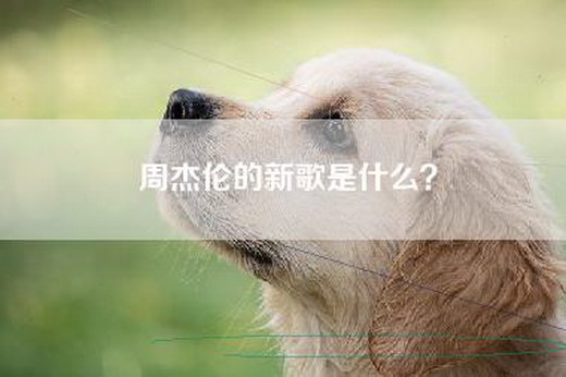 周杰伦的新歌是什么？
