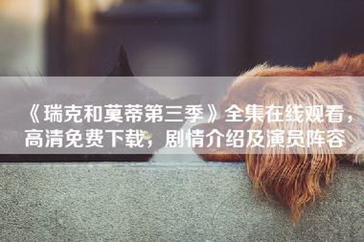 《瑞克和莫蒂第三季》全集在线观看，高清免费下载，剧情介绍及演员阵容