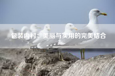 包装内衬：美丽与实用的完美结合