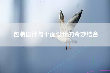 包装设计与平面设计的奇妙结合