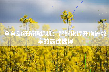全自动纸箱码垛机：智能化提升物流效率的最佳选择