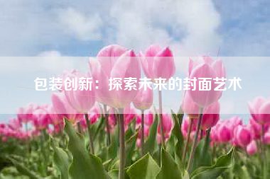 包装创新：探索未来的封面艺术