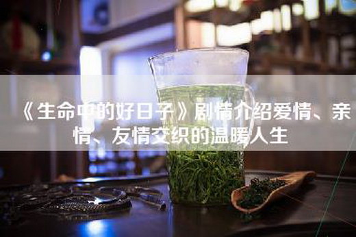 《生命中的好日子》剧情介绍爱情、亲情、友情交织的温暖人生