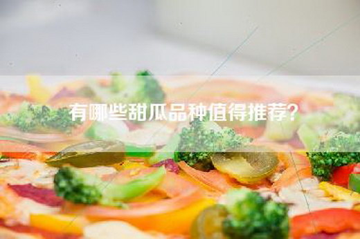 有哪些甜瓜品种值得推荐？