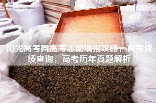 阳光高考网高考志愿填报攻略，高考成绩查询，高考历年真题解析