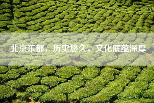 北京东都，历史悠久，文化底蕴深厚