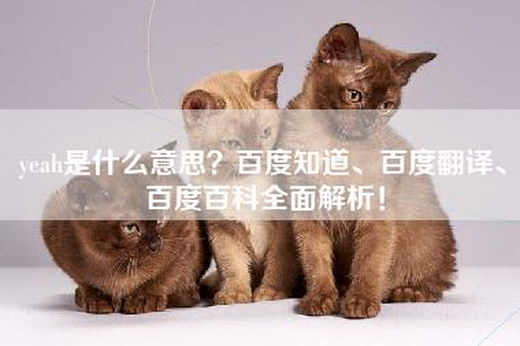 yeah是什么意思？百度知道、百度翻译、百度百科全面解析！