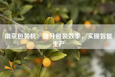 南京包装机：提升包装效率，实现智能生产