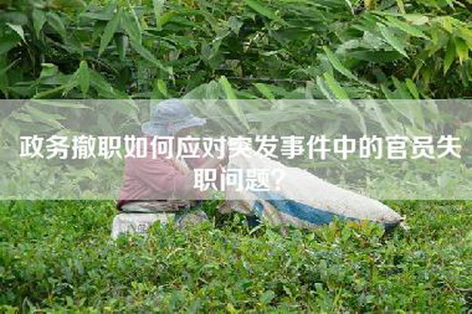 政务撤职如何应对突发事件中的官员失职问题？
