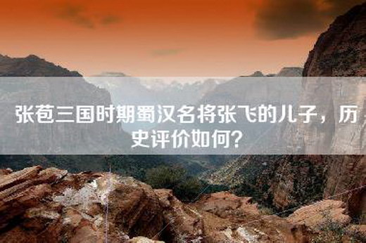 张苞三国时期蜀汉名将张飞的儿子，历史评价如何？