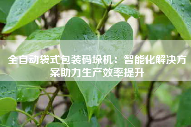 全自动袋式包装码垛机：智能化解决方案助力生产效率提升