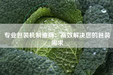 专业包装机制造商：高效解决您的包装需求