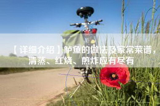 【详细介绍】鲈鱼的做法及家常菜谱，清蒸、红烧、煎炸应有尽有