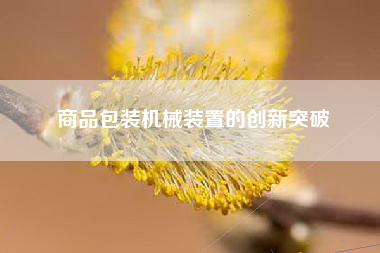 商品包装机械装置的创新突破
