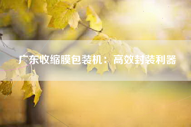 广东收缩膜包装机：高效封装利器