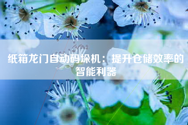 纸箱龙门自动码垛机：提升仓储效率的智能利器