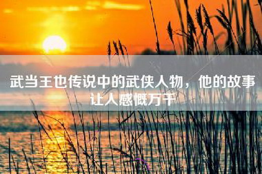 武当王也传说中的武侠人物，他的故事让人感慨万千