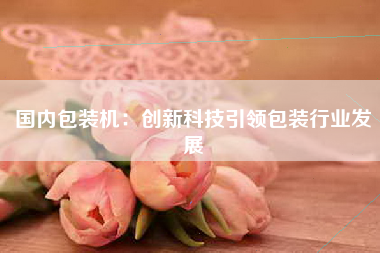 国内包装机：创新科技引领包装行业发展