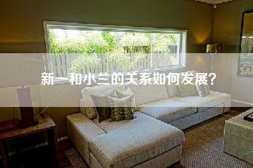 新一和小兰的关系如何发展？