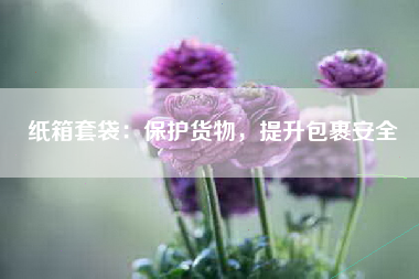 纸箱套袋：保护货物，提升包裹安全