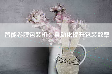 智能卷膜包装机：自动化提升包装效率