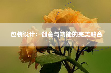 包装设计：创意与功能的完美融合