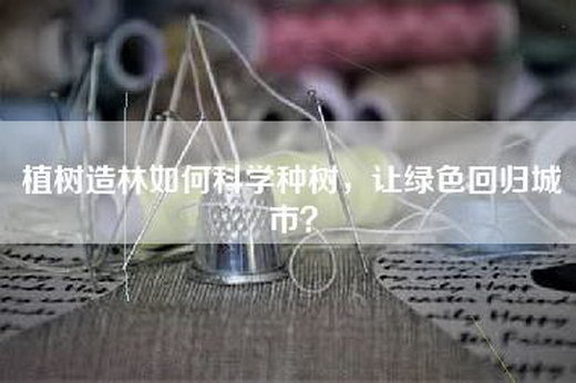 植树造林如何科学种树，让绿色回归城市？