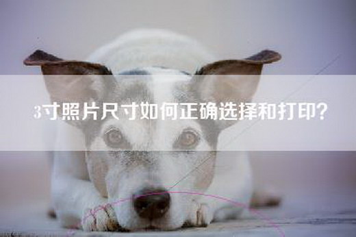 3寸照片尺寸如何正确选择和打印？