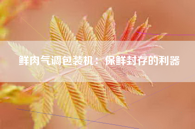 鲜肉气调包装机：保鲜封存的利器