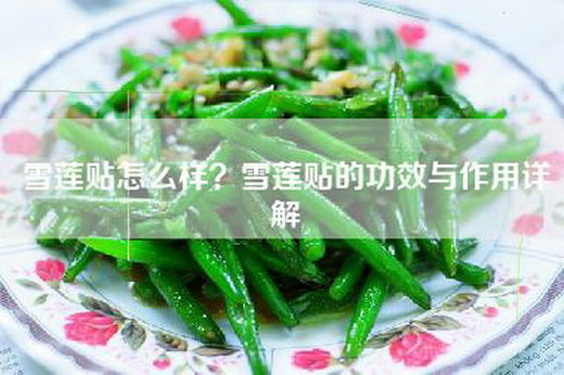 雪莲贴怎么样？雪莲贴的功效与作用详解