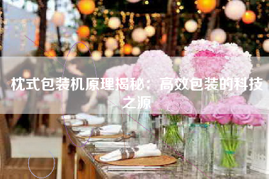 枕式包装机原理揭秘：高效包装的科技之源