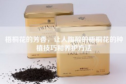 梧桐花的芳香，让人陶醉的梧桐花的种植技巧和养护方法