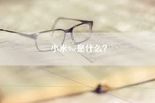小米9se是什么？