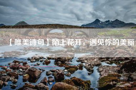 【唯美诗句】陌上花开，遇见你的美丽