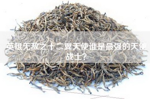 英雄无敌之十二翼天使谁是最强的天使战士？