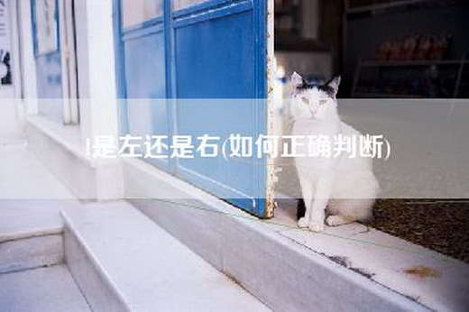 l是左还是右(如何正确判断)