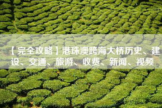 【完全攻略】港珠澳跨海大桥历史、建设、交通、旅游、收费、新闻、视频