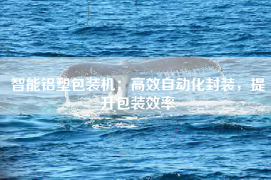 智能铝塑包装机：高效自动化封装，提升包装效率