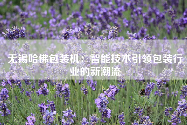 无锡哈佛包装机：智能技术引领包装行业的新潮流