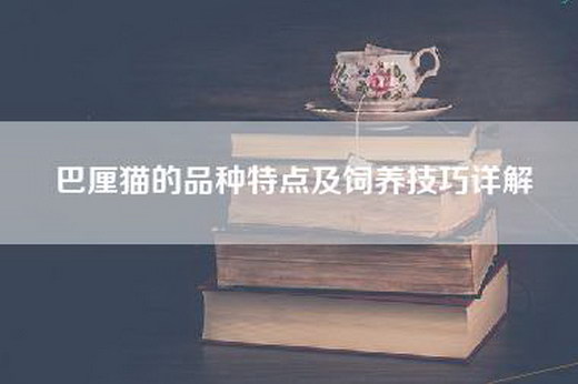 巴厘猫的品种特点及饲养技巧详解