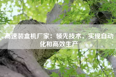 高速装盒机厂家：领先技术，实现自动化和高效生产