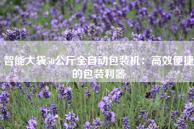 智能大袋50公斤全自动包装机：高效便捷的包装利器