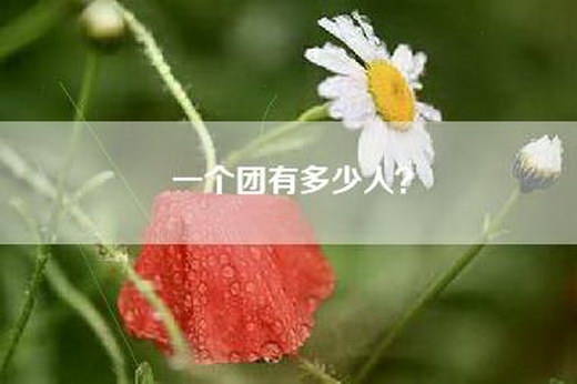 一个团有多少人？