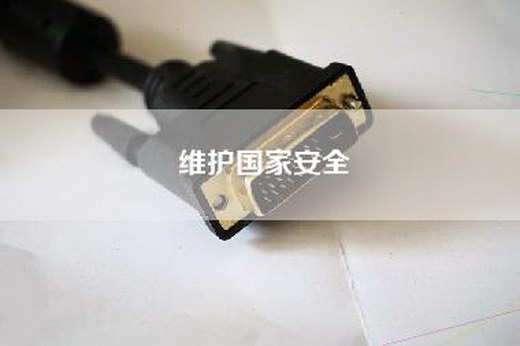 维护国家安全