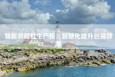 智能装箱机生产线：智慧化提升包装效率